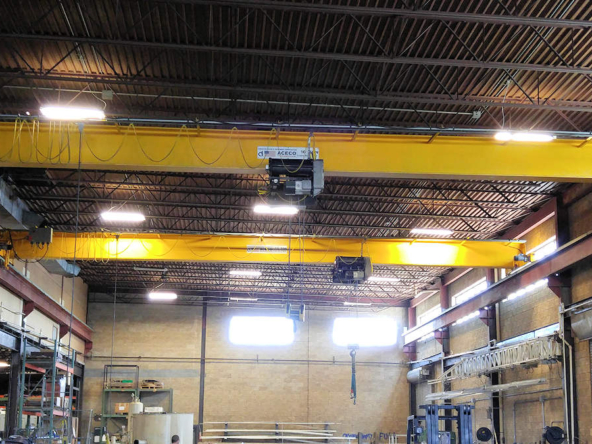 Third Picture of Cranes
